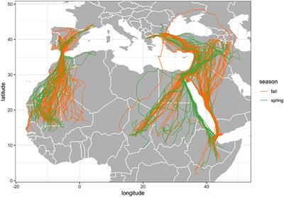 season of migration to the north analysis